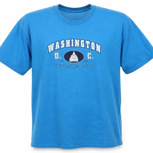 Delta Pro Weight Boys Blue Washington D.C. Graphic T-Shirt Size L
