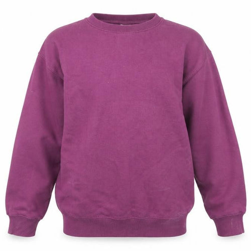 Zara Girls Purple Cotton Blend Long Sleeve Crew Neck Sweatshirt 13-14Y