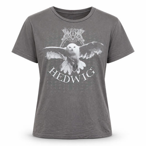 Harry Potter Teens Grey 100% Cotton Hedwig Graphic T-Shirt Size 10