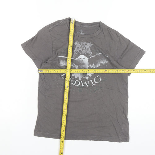 Harry Potter Teens Grey 100% Cotton Hedwig Graphic T-Shirt Size 10