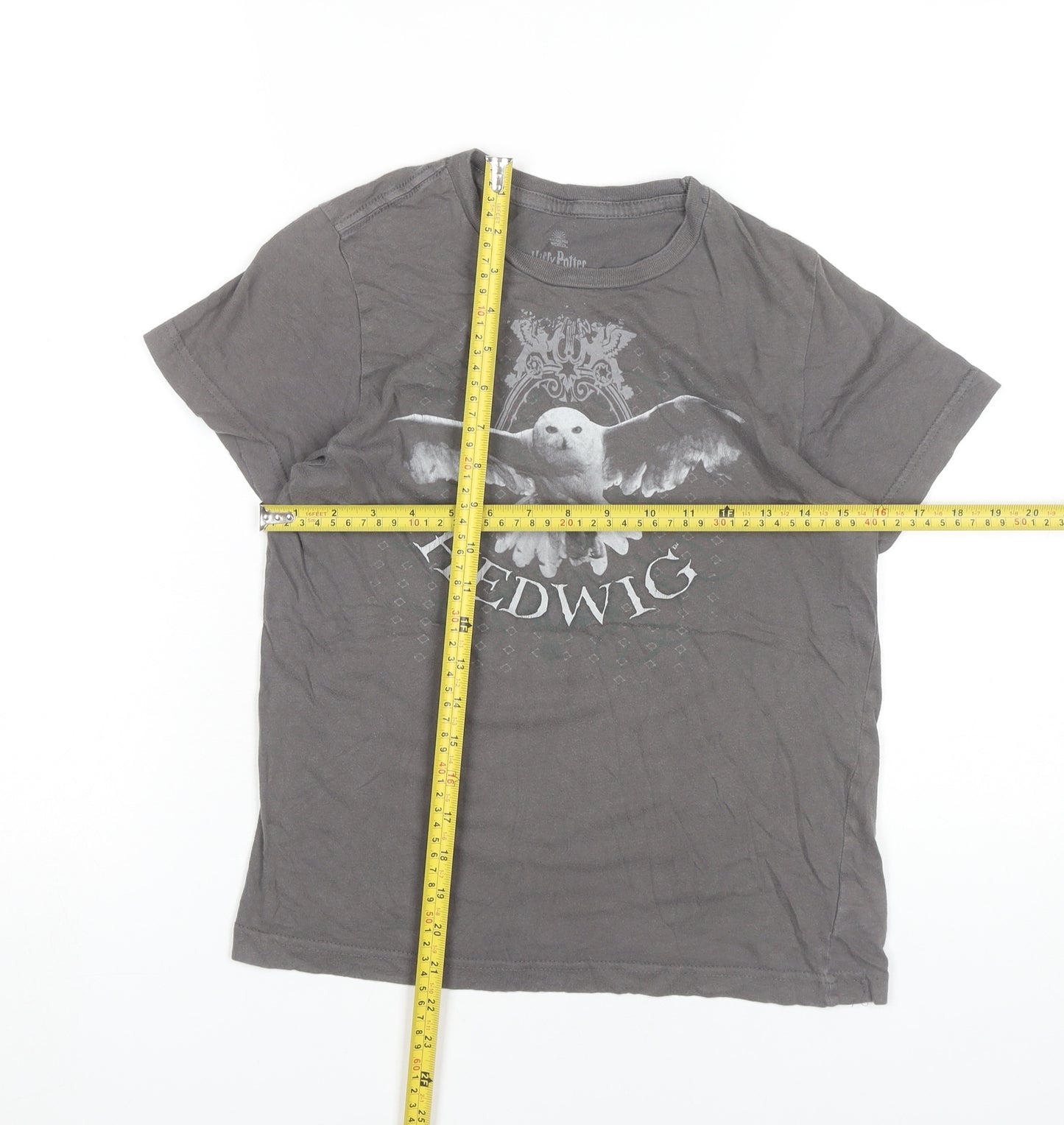 Harry Potter Teens Grey 100% Cotton Hedwig Graphic T-Shirt Size 10