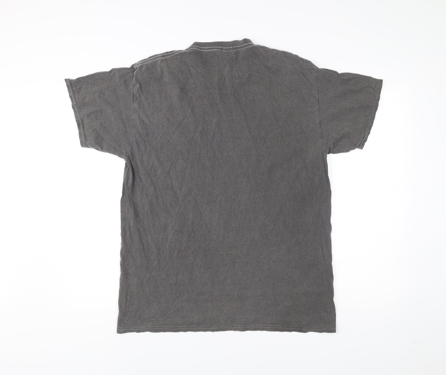 BDG Urban Outfitters Men's Grey Small Embroidered College T-Shirt