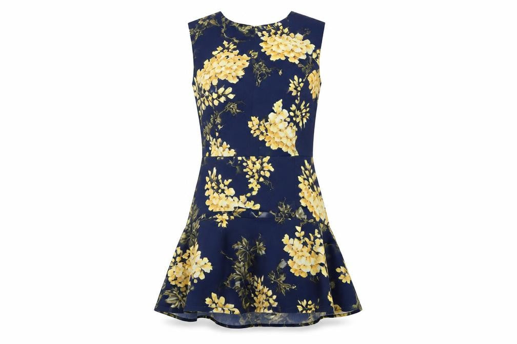 Warehouse Women’s Blue Floral Fit & Flare Knee Length Dress Size 12