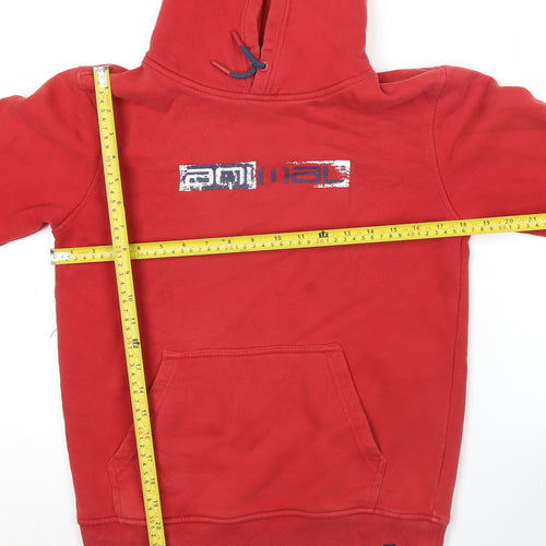 Animal Boys Red Pullover Hoodie 11-12 Years Cotton Blend Logo