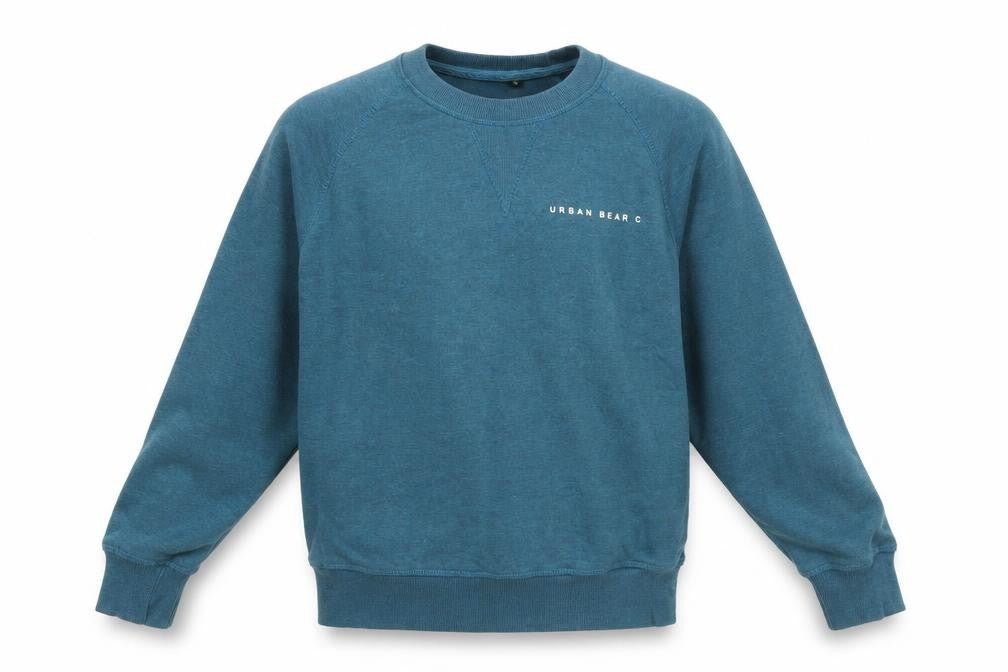 Front view of Urban Bear Co Men’s Blue Small Pullover Sweatshirt Crew Neck
