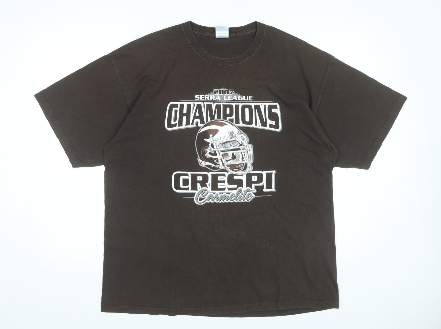 Gildan Men’s Brown XL Sports Champions Graphic T-Shirt