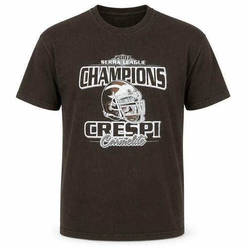 Gildan Men’s Brown XL Sports Champions Graphic T-Shirt