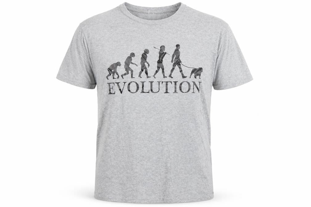 Front view of Imperial Men's Grey Evolution Funny Graphic T-Shirt, size L