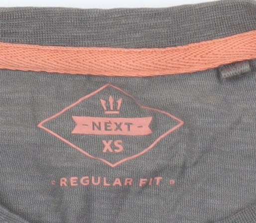 Next Men’s Grey XS Regular Fit Graphic Print T-Shirt