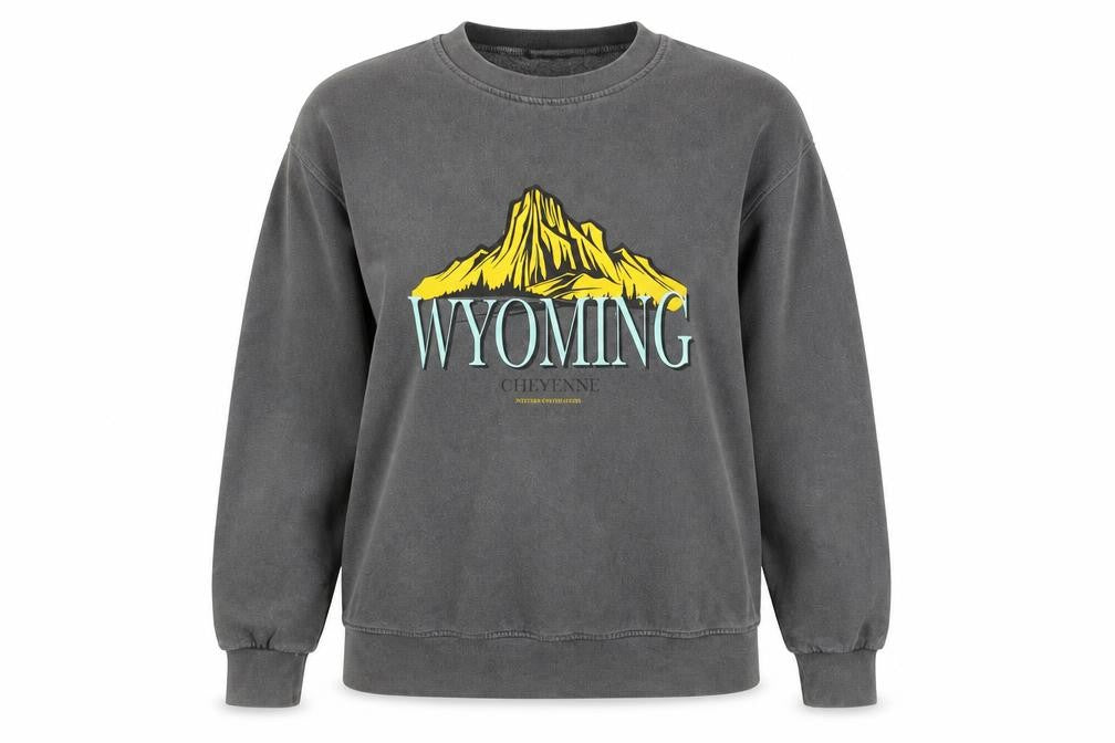 Front view of PRETTYLITTLETHING Women Grey XS Wyoming Graphic Pullover Sweatshirt