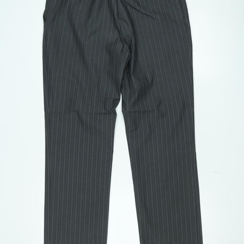 Taylor & Wright Men's Grey Pinstripe Dress Pants 34S Classic Fit