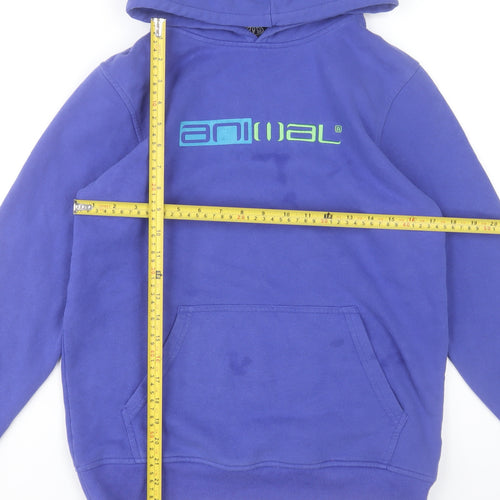 Animal Boys Purple Pullover Hoodie 13-14 Years Graphic Logo Cotton Blend