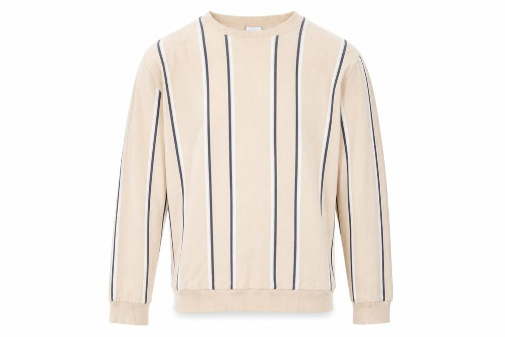 Front view of Zara Men's Beige Striped Long Sleeve Pullover Sweatshirt, size L