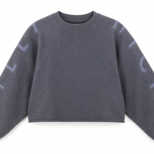 Gilly Hicks by Hollister Women’s Grey Pullover Sweatshirt XS Relaxed Fit