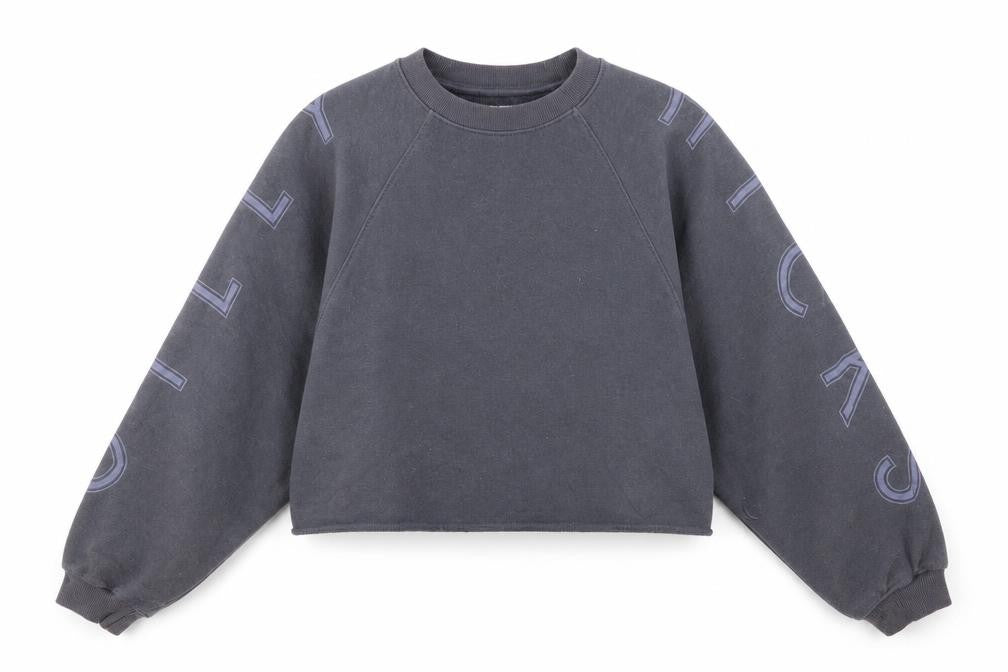 Gilly Hicks by Hollister Women’s Grey Pullover Sweatshirt XS Relaxed Fit