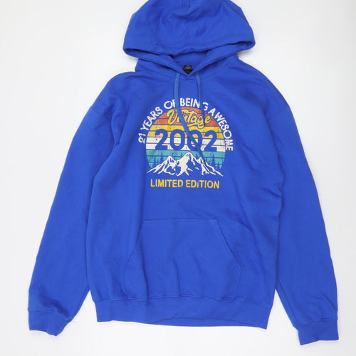 Gildan Men’s Blue Pullover Hoodie Medium Vintage 2002 Graphic