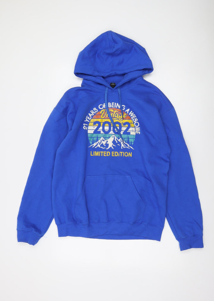 Gildan Men’s Blue Pullover Hoodie Medium Vintage 2002 Graphic