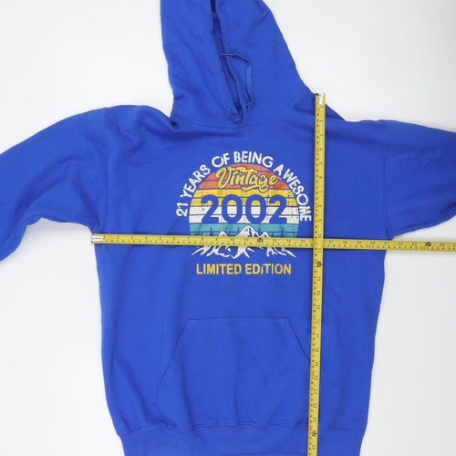 Gildan Men’s Blue Pullover Hoodie Medium Vintage 2002 Graphic