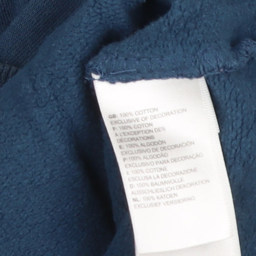 The North Face Men's Blue Pullover Hoodie Size S Graphic Outdoor