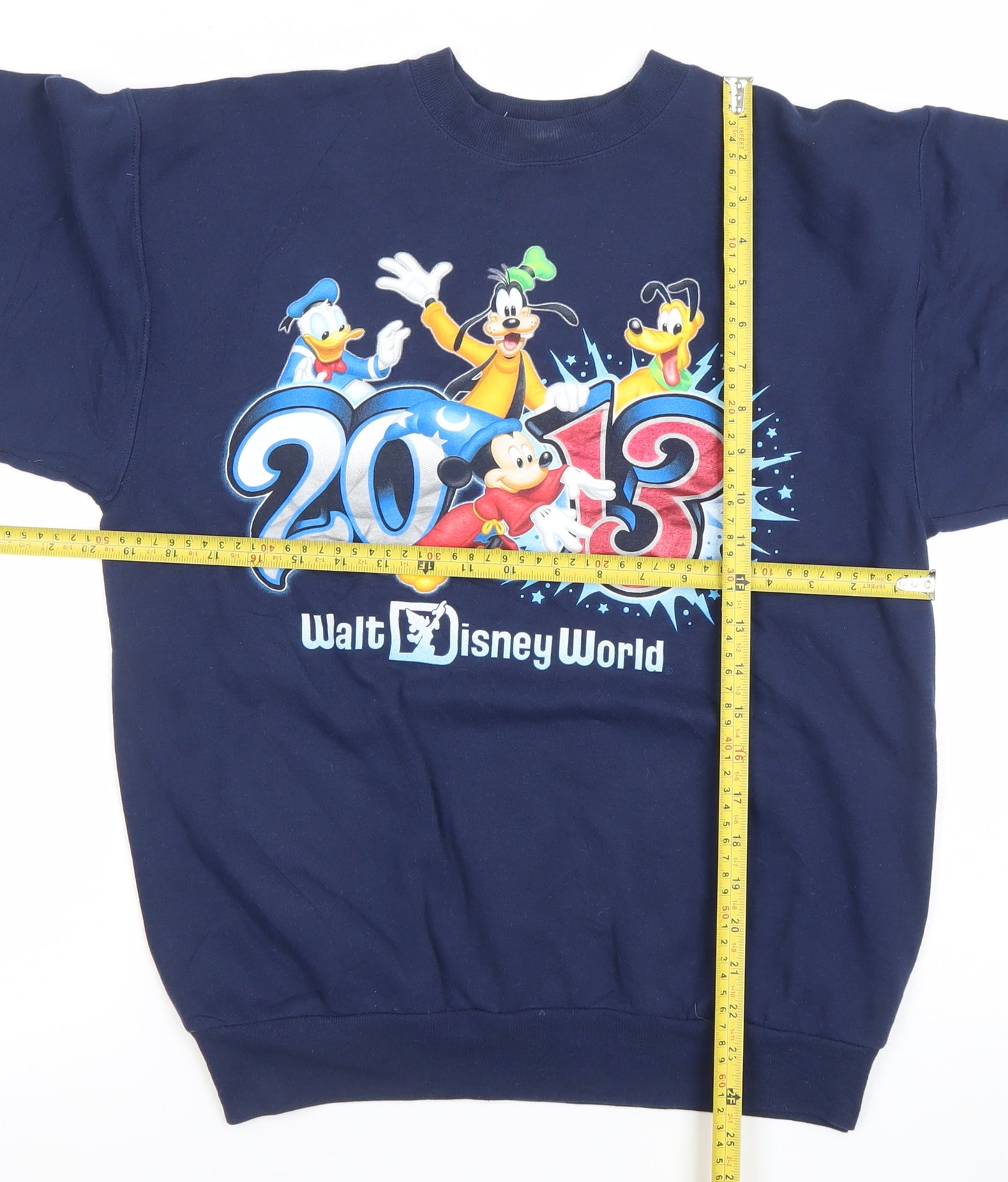 Hanes Men's Blue Walt Disney World 2013 Pullover Sweatshirt S