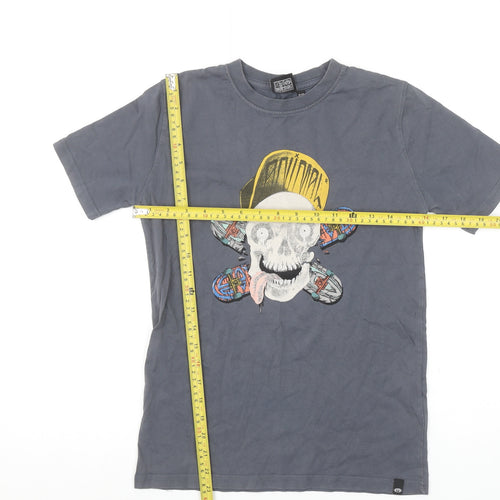 Animal Boys Grey Skull Graphic Short Sleeve Cotton T-Shirt 11-12 Years