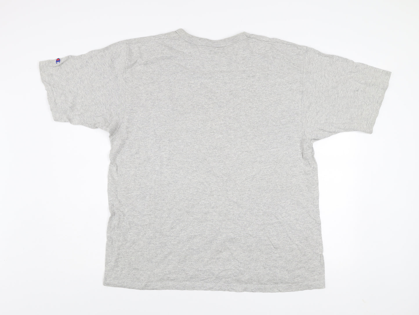 Champion Men's Grey XL Fashion Institute Graphic T-Shirt