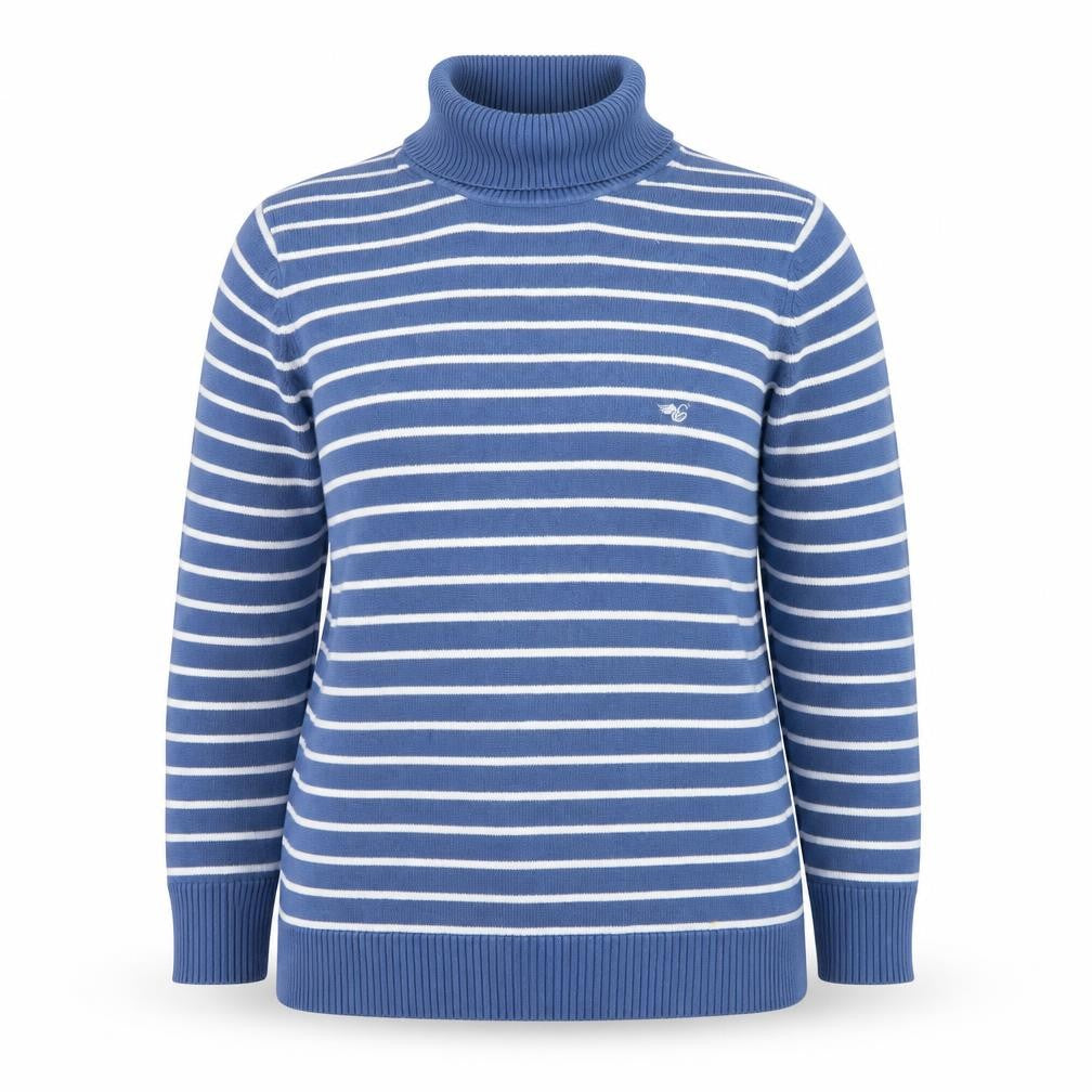 Front view of ESPRIT Women's Blue Striped Roll Neck Cotton Jumper, size 2XL