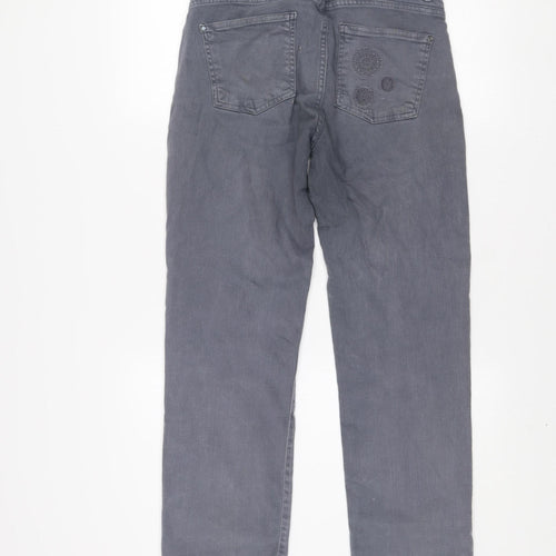 Dolcezza Womens Grey Straight Stretch Jeans Size 6 Embroidered Denim