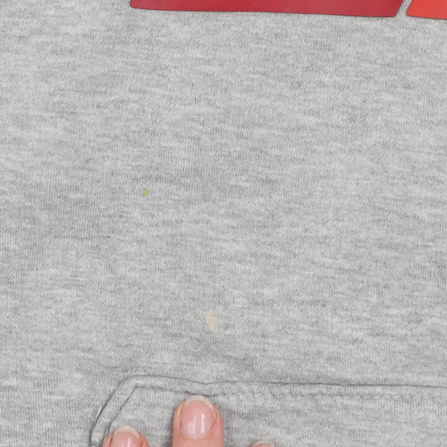 Diesel Mens Grey Small Pullover Hoodie Graphic Print Fleece