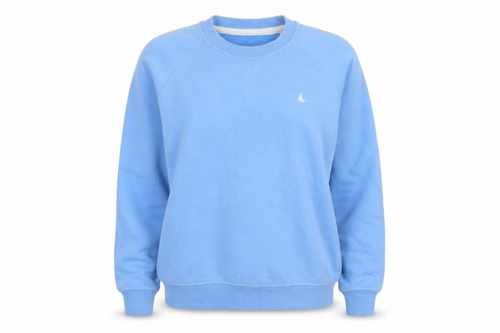 Front view of Jack Wills Women's Blue Cotton Crew Neck Pullover Sweatshirt UK 6