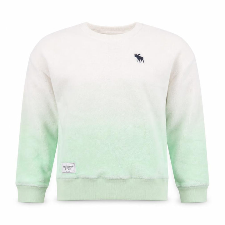 Abercrombie & Fitch Kids Girls Green Ombre Fleece Pullover Sweatshirt 11-12 Years