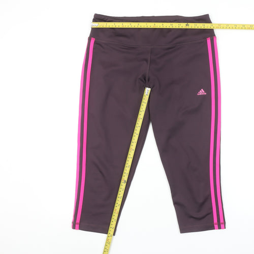 adidas Women Purple Pink Capri Leggings M Moisture Wicking