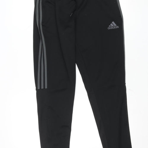 Adidas Men Black Medium Tapered Track Pants Primegreen