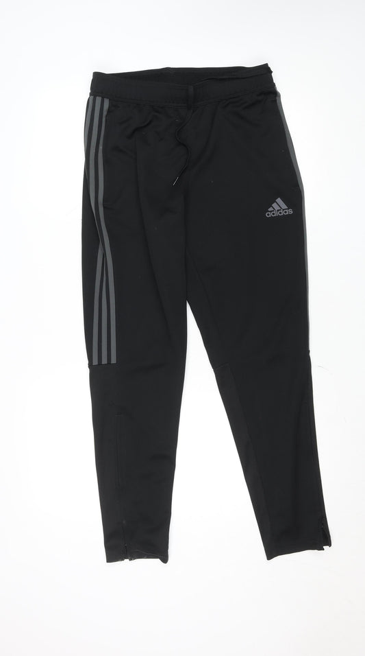 Adidas Men Black Medium Tapered Track Pants Primegreen