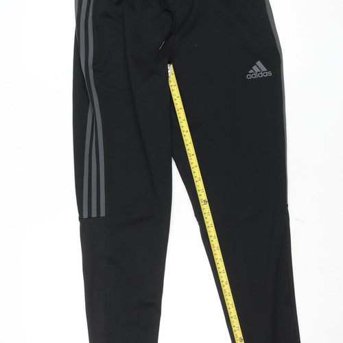 Adidas Men Black Medium Tapered Track Pants Primegreen