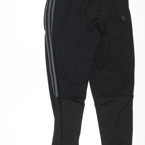 Adidas Men Black Medium Tapered Track Pants Primegreen