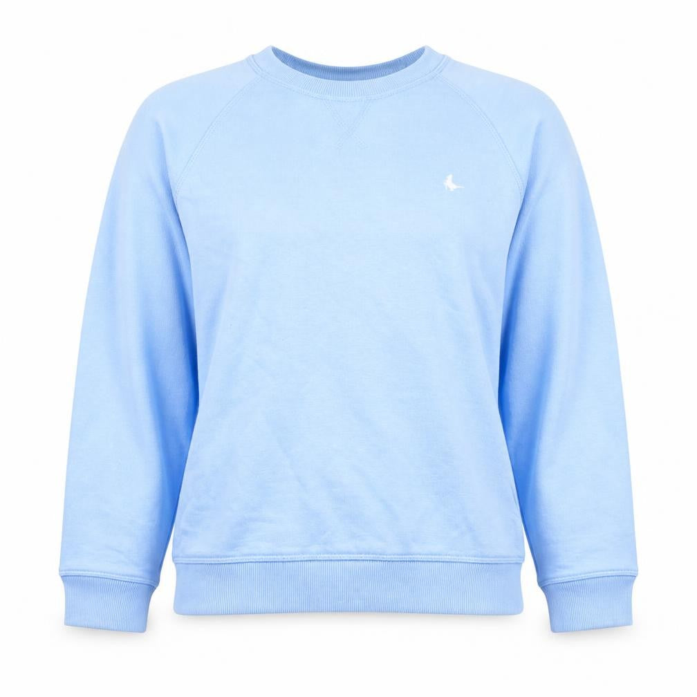 Front view of Jack Wills Women Blue Crew Neck Long Sleeve Pullover Sweatshirt UK 4