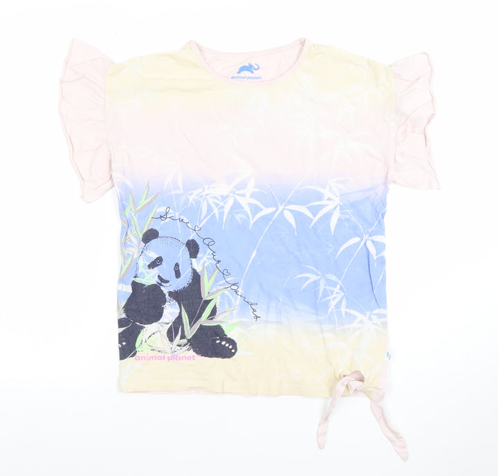 Animal Planet Teens Multicoloured Cotton Panda T-Shirt L