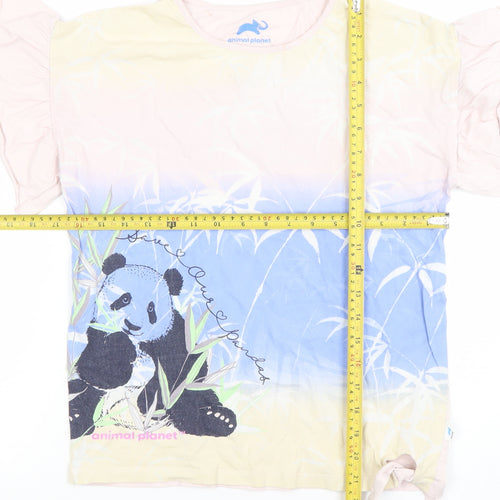 Animal Planet Teens Multicoloured Cotton Panda T-Shirt L