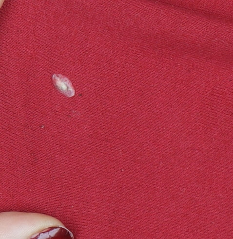 Reebok Men's Red L Track Jacket Hooded Full Zip Cotton Blend