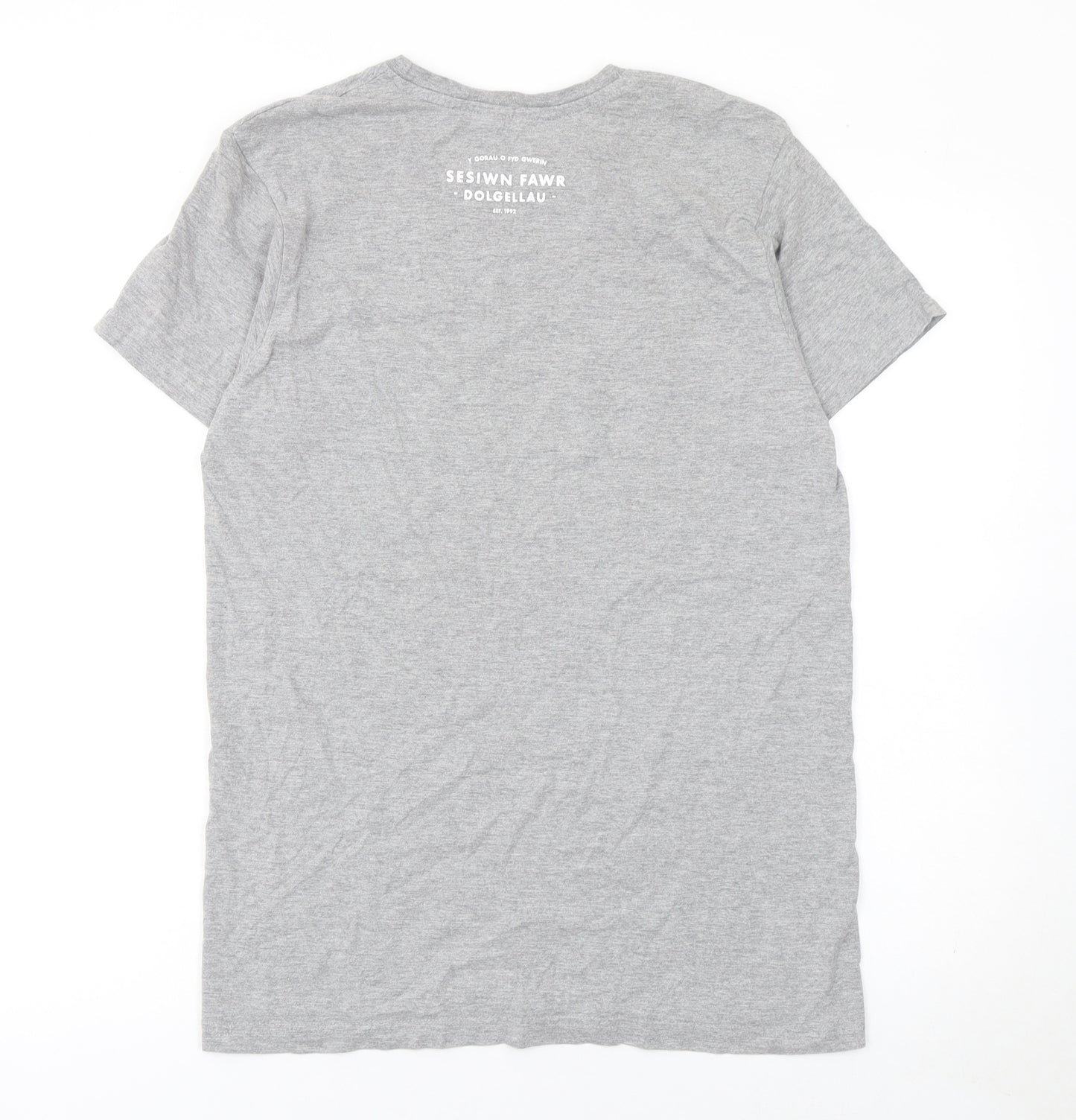 B&C Collection Men's Grey Yes Sesiwn Graphic Cotton T-Shirt M