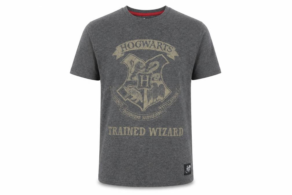 Harry Potter Boys Grey Hogwarts Graphic T-Shirt 10-11 Years Casual Cotton Blend