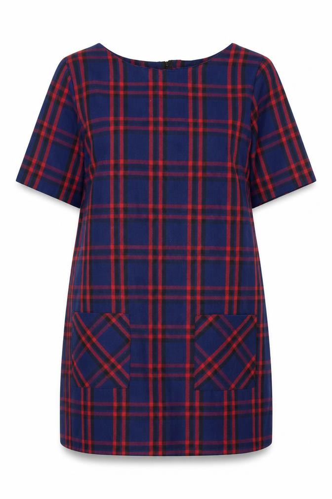Front view of Dorothy Perkins Women Blue Check Shift Dress, size 16