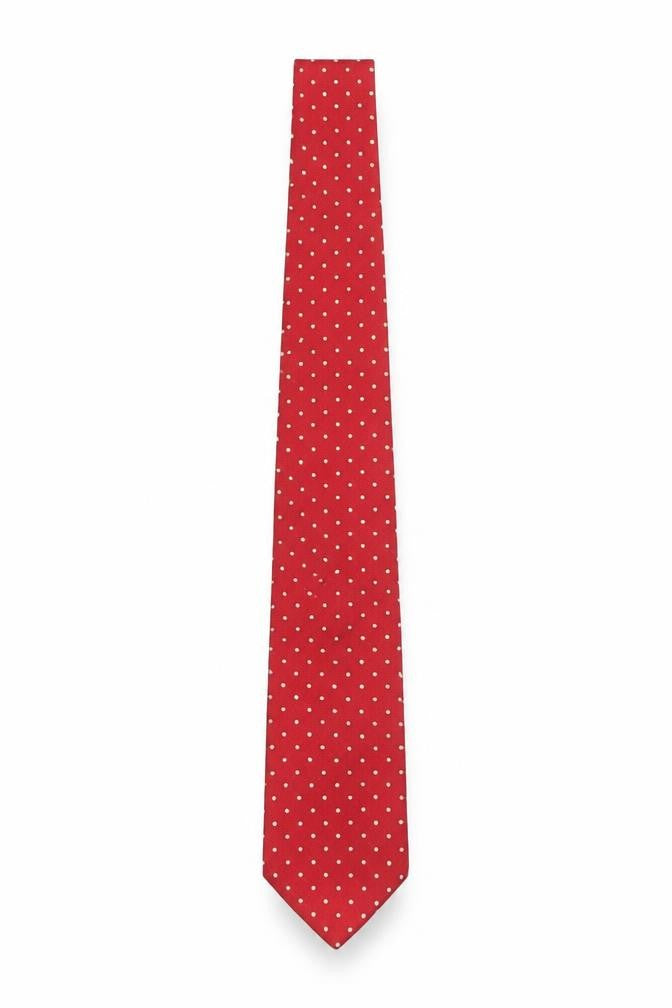 Front view of Leonardo Purcell Tie Rack Men Red Polka Dot Silk Slim Tie 176cm