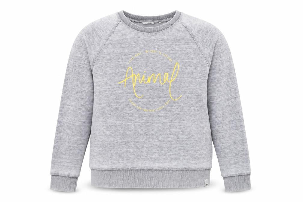 Front view of Animal women’s grey logo sweatshirt, size UK 10, classic fit