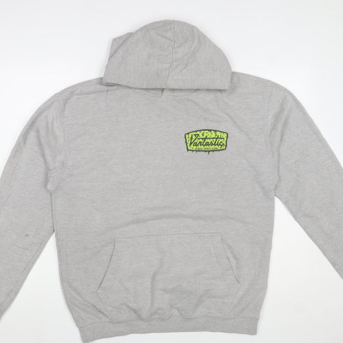 Avidsbrands Mens Grey Pullover Hoodie L Graphic Logo Sweatshirt