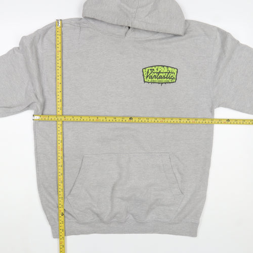 Avidsbrands Mens Grey Pullover Hoodie L Graphic Logo Sweatshirt