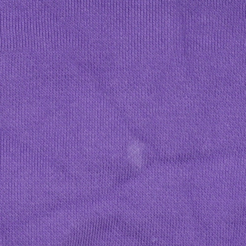Champion Men's Purple Pullover Hoodie Size S Logo Graphic Sweatshirt