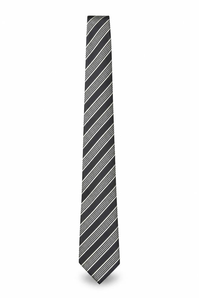 Charleston The Rocks Men's Black Striped Slim Silk Tie One Size