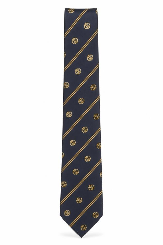 Front view of Alec Brook Men's Blue Striped Woven Pointed Tie